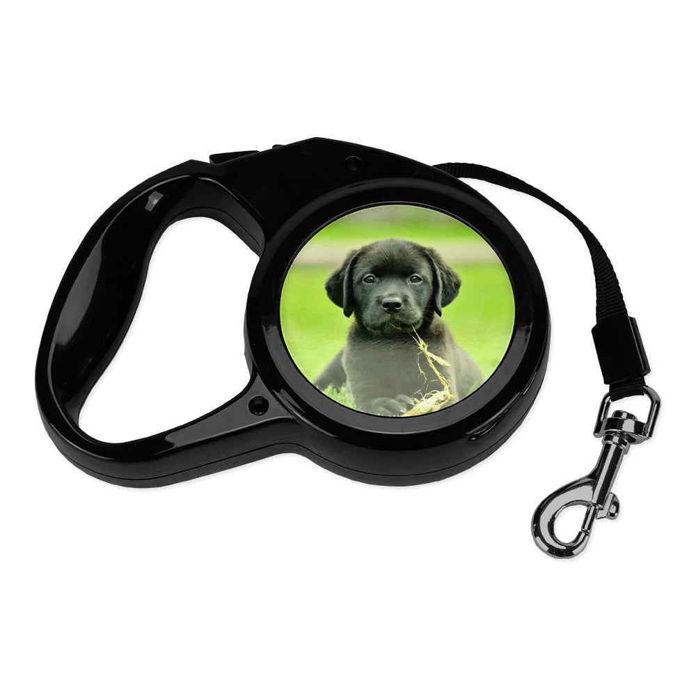 Hundeleine mit Namen und Foto bedrucken